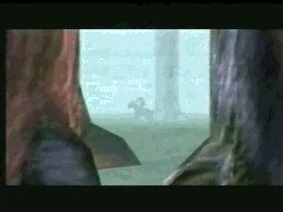 MM Link 50.jpg