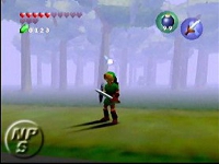 1996 forest1 small.jpg