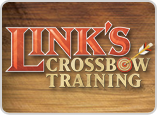Link's crossbow training logo.png